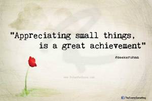 appreciate-small-things-great-achievement-seekerohan-rohanrathore.com-The-Twenty-Something-quote